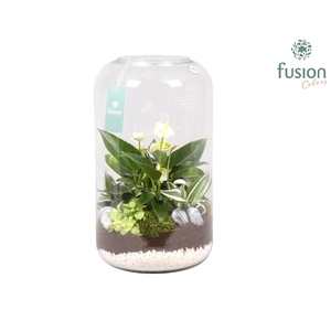 Green bottle xxlarge met white arrangement
