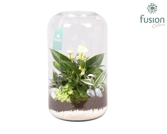 <h4>Green bottle xxlarge met white arrangement</h4>