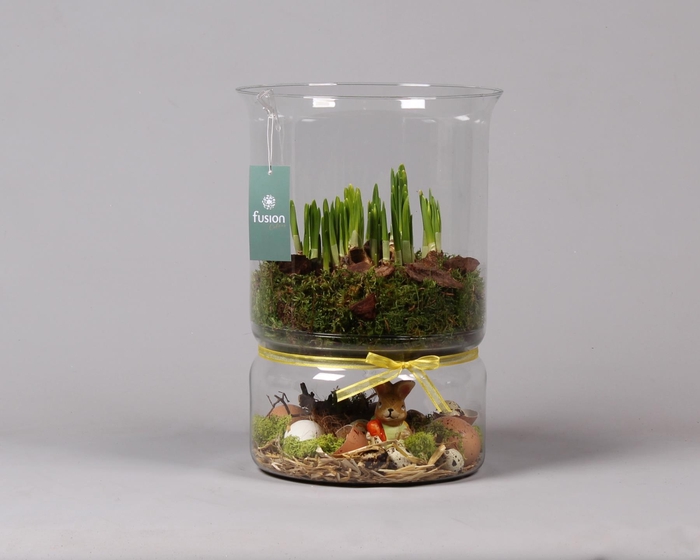 <h4>Green Bottle duopot XL met Narcis</h4>