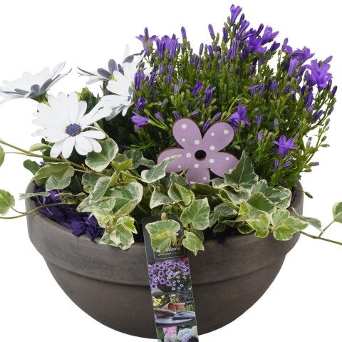 <h4>Opm Pt PTPP2552 Patio Keramiek Terracotta Schaal</h4>