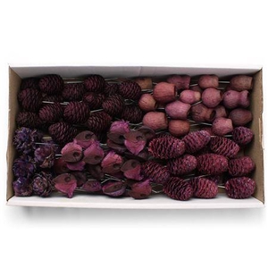Lcd Assorti Brombeer On 10cm Wire