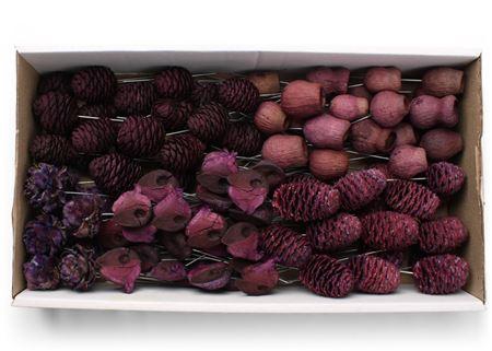 <h4>Lcd Assorti Brombeer On 10cm Wire</h4>