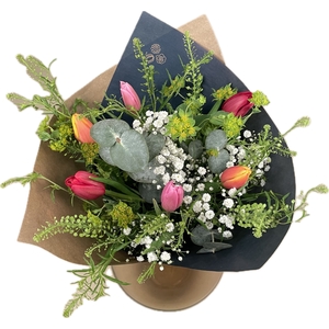 Bq Tulip Trend Carrousel S