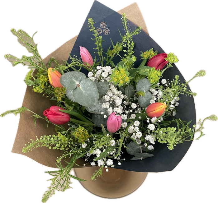 <h4>Bq Tulip Trend Carrousel S</h4>