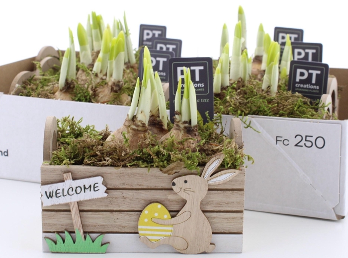 <h4>ARR N TETE A TETE</h4>