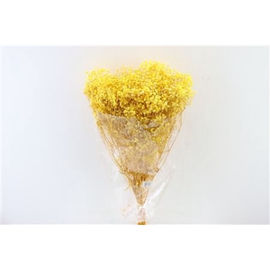 Pres Gypsophila Bq Big Yellow Bunch Slv