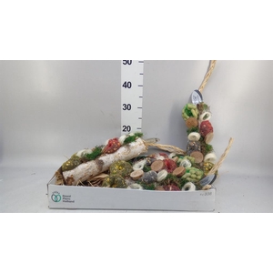 Decoratie  ..Vogelzaadfiguur