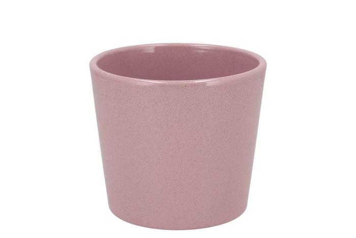 <h4>Ceramic Rosa Stone Pot 13cm</h4>
