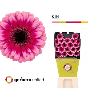 Ge Mi Kiki Diamond United