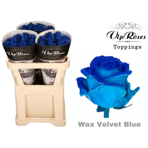 R Gr Vip Wax Velvet Blue