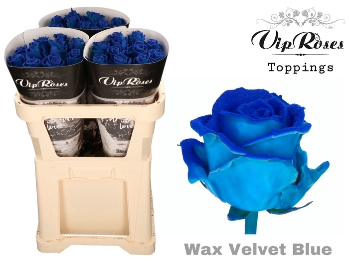 <h4>R GR WAX VELVET BLUE 998</h4>