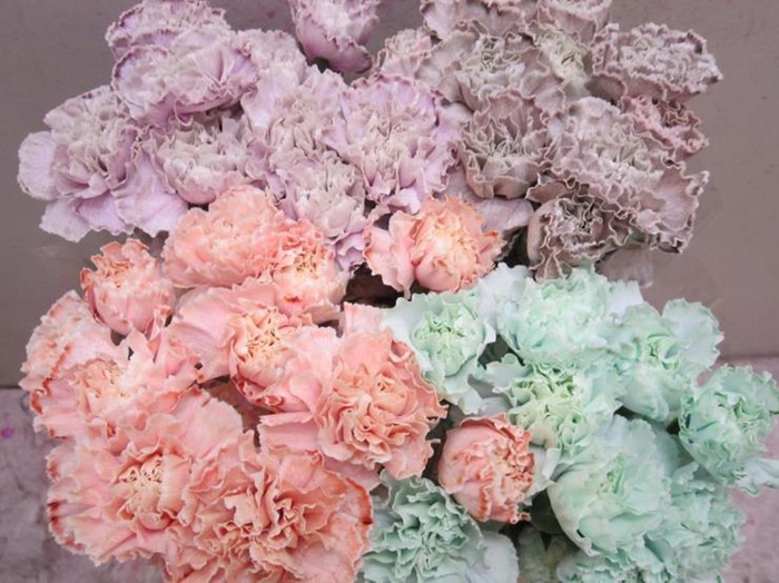 <h4>Di St G 2 Tone Mix</h4>