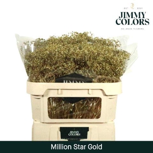 Gyps Million Star L70 Metallic Gold