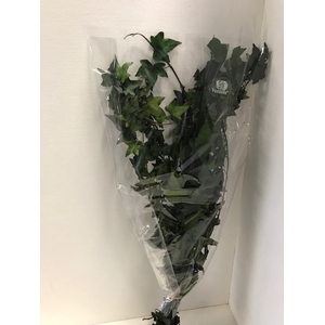 Ivy Tips 60gr groen