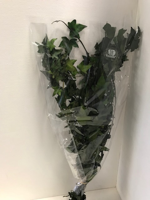 Ivy Tips 60gr groen