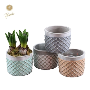 (3942) Hyacint Lloret de Mar 3PP Mos