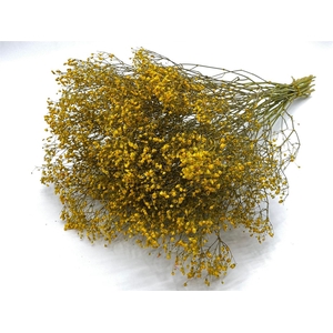 Dried Gyps Yellow Extra Bunch