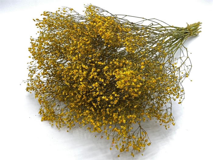 <h4>Dried Gyps Yellow Extra Bunch</h4>