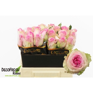 R Gr Brigitte Bardot