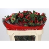 Hypericum True Romance Spray