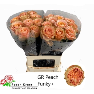 R GR PEACH FUNKY+