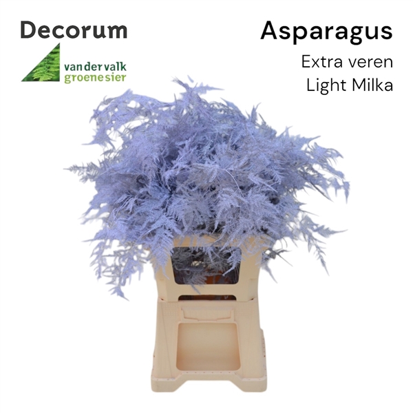 <h4>Asp extra veren Light milka</h4>