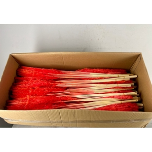 DF Pampas Silvy B10 85cm Br.Or