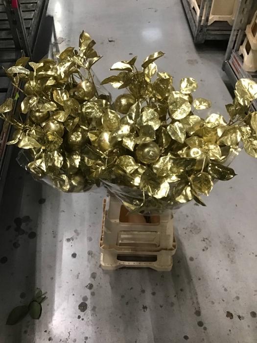 <h4>ARTIFICIAL APPLE GL GOLD PS</h4>