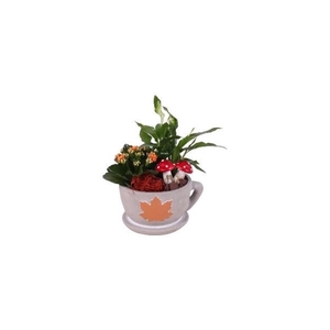 Autumn Arr. Indoor Concrete Cup with leaf Ø17cm 2PP