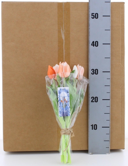 <h4>HUIS EN TUINDECO H%</h4>