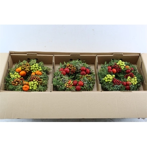 Wr Sierfruit 30 Cm Extra Junico Red (anttar)
