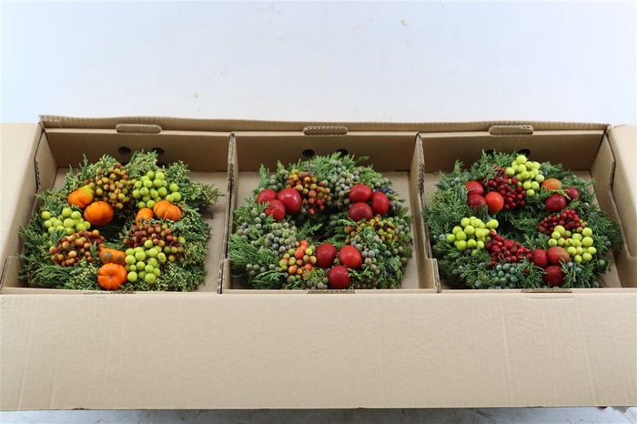 <h4>Wr Sierfruit 30 Cm Extra Junico Red (anttar)</h4>