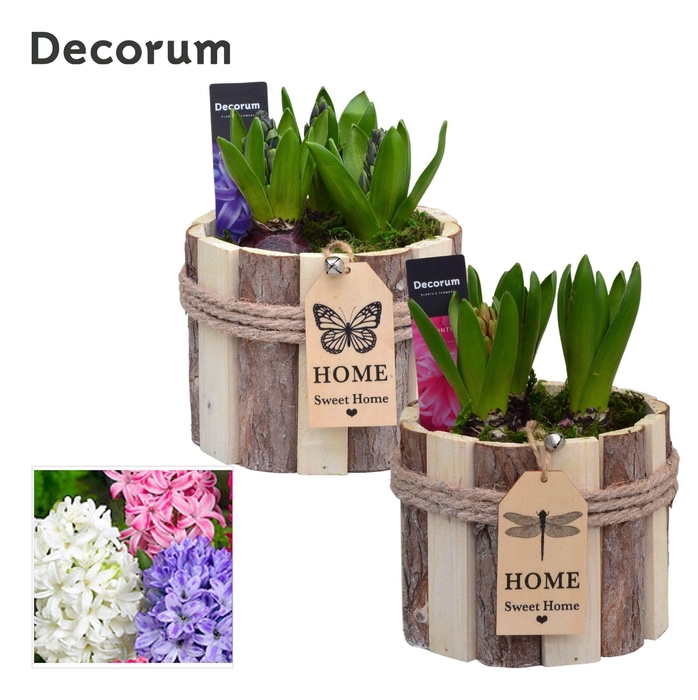 <h4>Hyacint Tak Rond HL17761 [PURE]</h4>