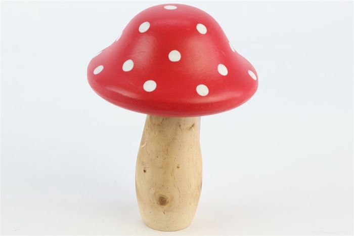 <h4>Mushroom Pixie H19D14</h4>