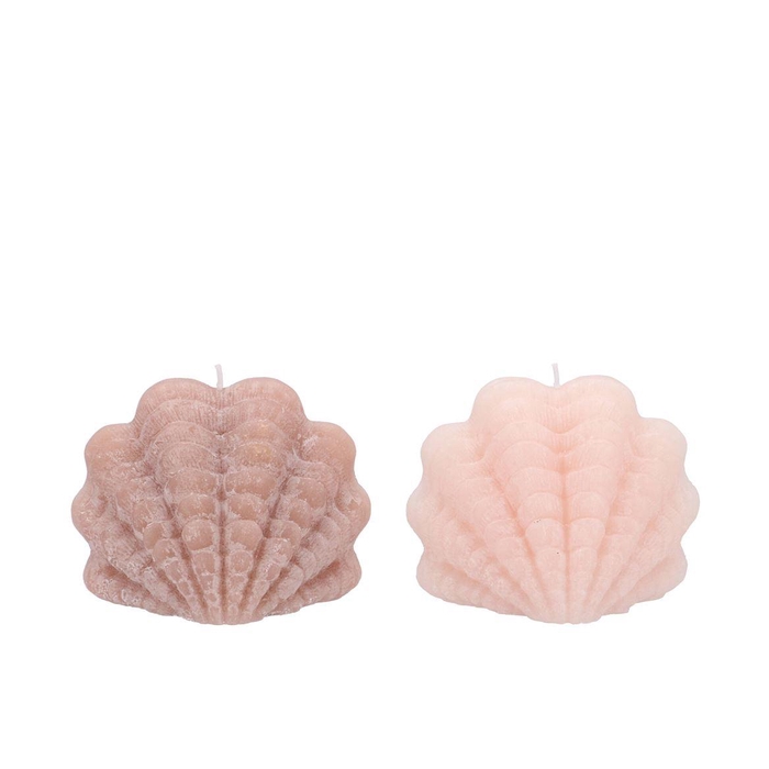 <h4>Candle Shell Scallop Ivory/sand 15x10cm</h4>
