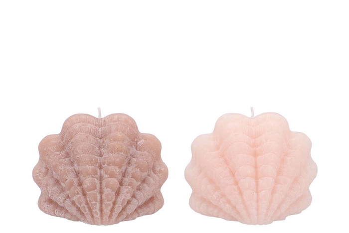 <h4>Candle Shell Scallop Ivory/sand 15x10cm</h4>