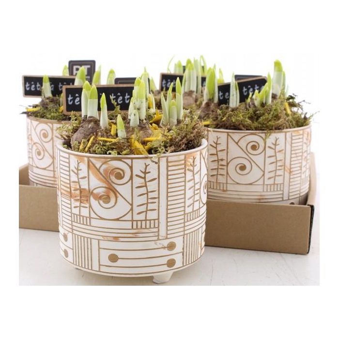 <h4>ARR N TETE A TETE</h4>