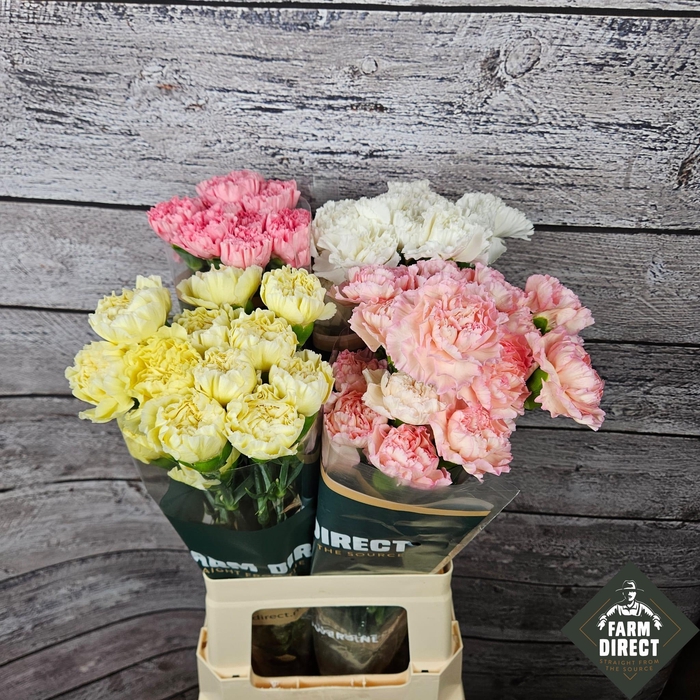 <h4>DI ST GEMENGD PASTEL IN FUST</h4>