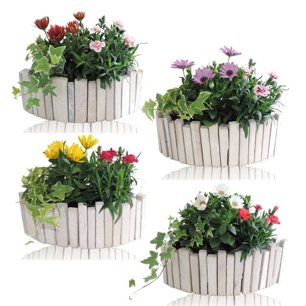 <h4>Collectie Anna Arrangement in Houten Kano 29 cm</h4>