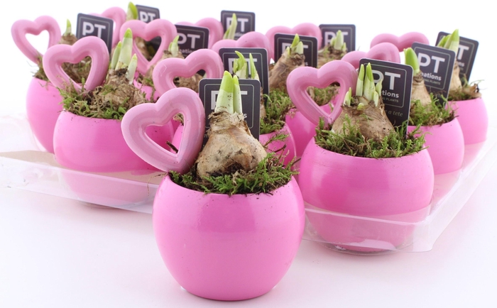 <h4>ARR N TETE A TETE</h4>