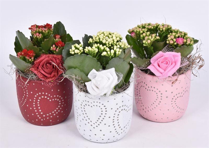 <h4>Cement potje met hart kl.mix 10cm</h4>
