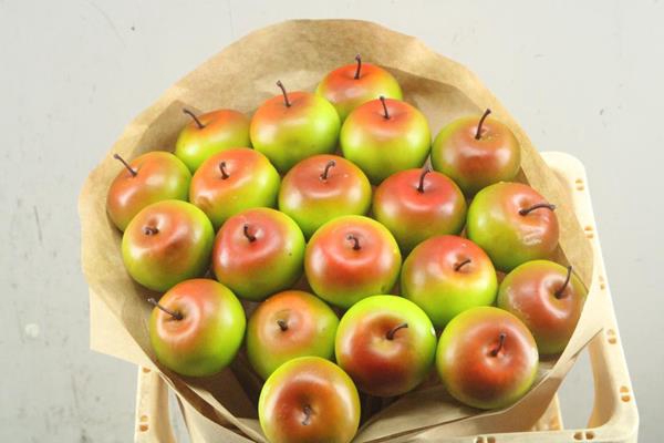 <h4>Droog Appel Groen/rood X20</h4>