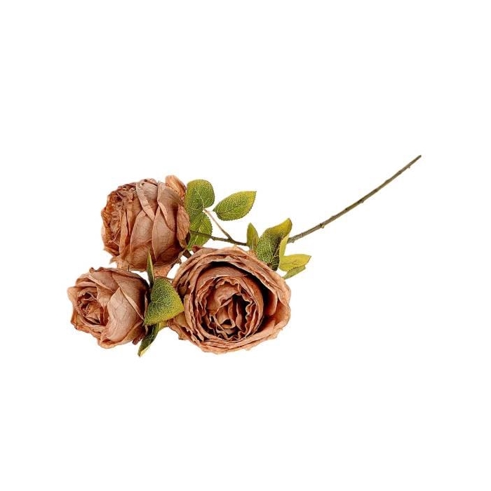 <h4>Branch Rosa Gallica L70</h4>