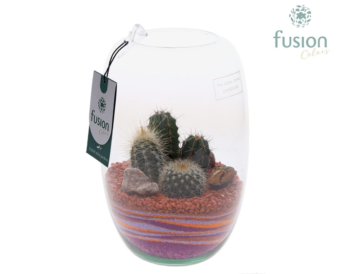 <h4>Green Bottle Isabella Small met zand arrangement</h4>