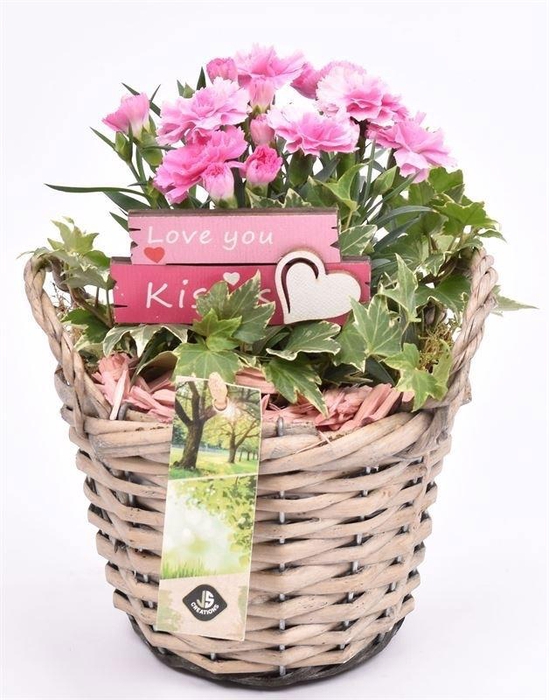 Wilg mand grijs met oor 14cm