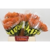 Nutans Ayoba Mandarin Zest
