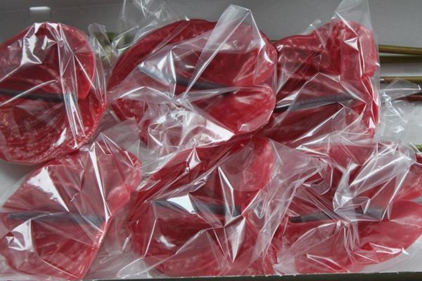 <h4>Anth A Impulz X 10</h4>