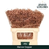 Gyps Grof. Mtlc Copper