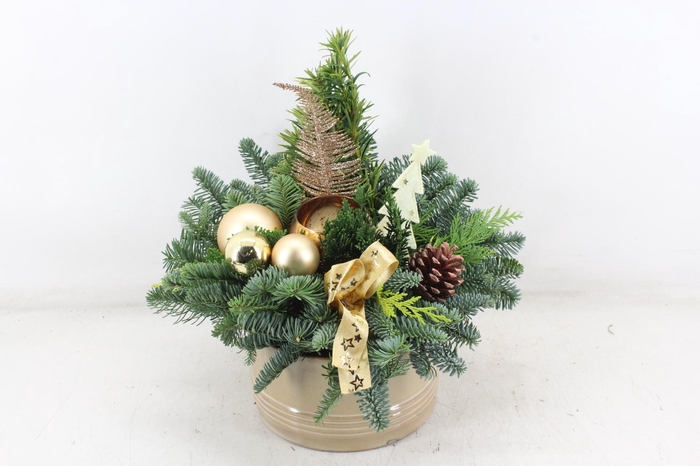 <h4>arr5 Kerst PL - Ker. pot luxe Gold 1waxbol</h4>