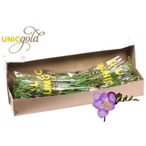 UG Mol - Delta River 5x20 box